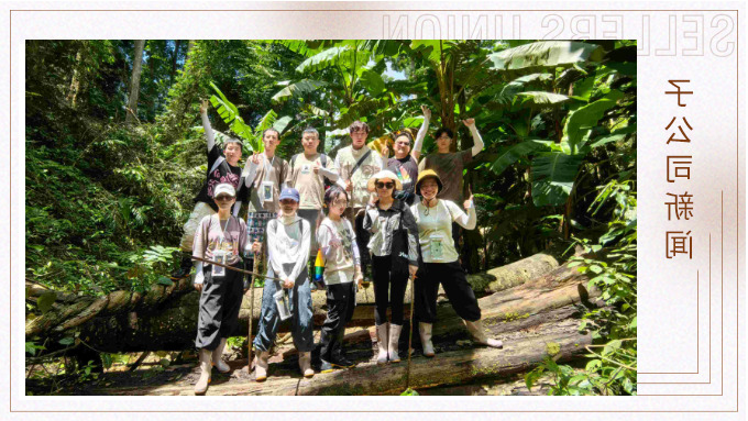探雨林秘境，与森林同呼吸——记优景公司年中西双版纳团建旅游